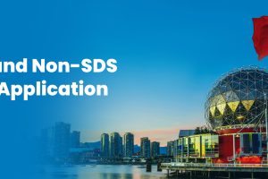 SDS and Non-SDS Visa Processes